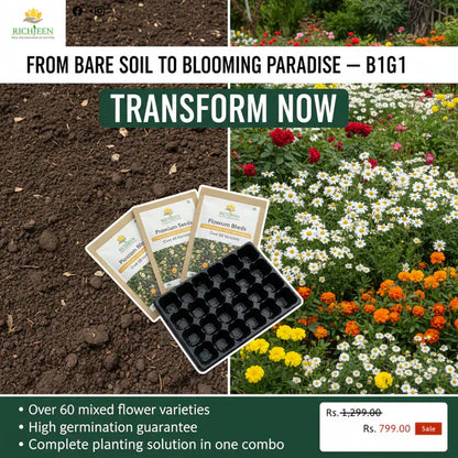 Premium Flower seeds (Buy 1 Get 1 Free)